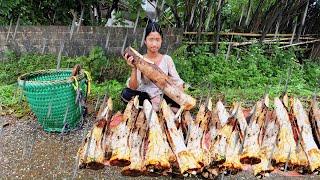 Orphaned girl braved the rain in the forest to cut and sell cassava roots to make a living.