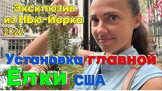 Процесс установки главной Новогодней Елки Америки в Нью Йорке/ Елка из Один Дома 2 #newyork