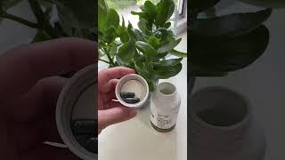 Позоботься о себе сам‼️