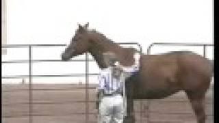 Horse Owner Survival: Catching, Leading & Tying a Horse