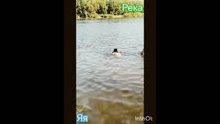 река Яя  в Кузбассе#река#яя