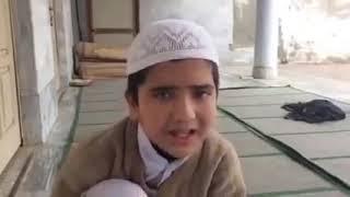 Heart Touching Quran Recitation।। হৃদয় জুড়ানো কুরআন তেলোয়াত।। WahDa Network