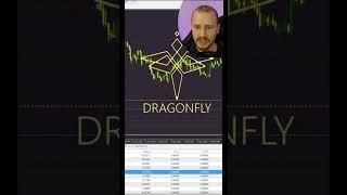 ТРЕЙДИНГ БОТ DRAGONFLY +638$ НА ПОЛНОМ ПАССИВЕ | Самый БЕЗОПАСНЫЙ торговый робот форекс #трейдингбот