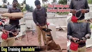 Dog Training and Training Equipment | Dreamer Paul Vlog