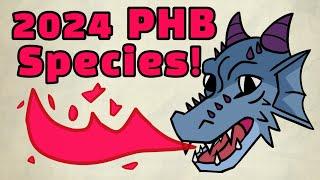 Species Ranking! - D&D 2024 Player's Handbook