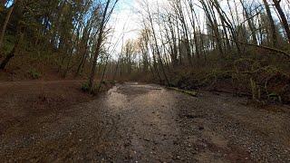 Peaceful Creek in the Deep Valley