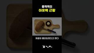 SPC 특검하라