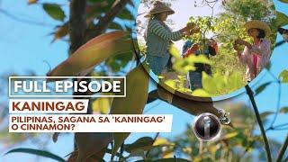 'Kaningag,' dokumentaryo ni Mav Gonzales (Full Episode) | I-Witness