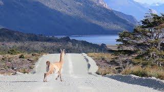 Tierra del Fuego, Chile