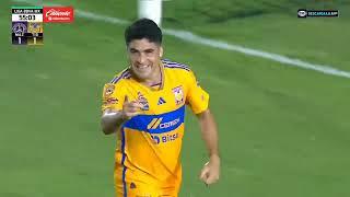 los 32 goles de tigres uanl en el APERTURA 2023