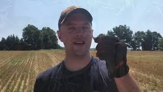 Mason Dixon Diggers 2018 Metal Detecting Finds 2018