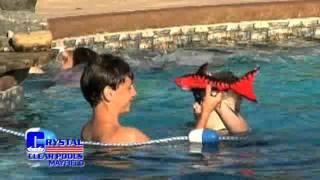 Crystal Clear Pools Image 2015 WMV 768Kbps