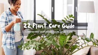 All about  ZZ Plant - Tips for Caring ZZ Plants - Lucky plants Online - Bonsaiplantsnursery.com