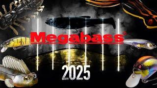 Is 2025 The Year Of Megabass?? Insane New Products And Epic Concepts For 2025!!