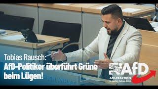 AfD-Politiker überführt Grüne beim Lügen