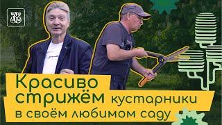 Дендропластика. Красиво стрижем растения в своем саду.