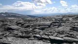 Gråhø, Høvringen, august 2011