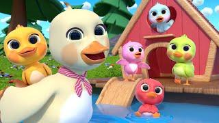 [NEW SONG] 5 Little Ducks(Learn Colors Song) | Newborn Baby Songs & Nursery Rhymes