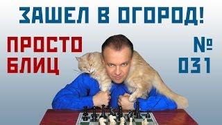 Просто блиц № 031 ⏳ Зашел в огород. Принятый ферзевый гамбит. Сергей Шипов. Шахматы