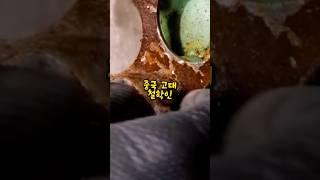 한국이 중국의 도움으로 만든 이것을 상기하라는 이유를 말하는 외국인