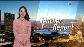 《 香港女主播 》〖Pearl Anchor：林婷婷  Jacky Lin〗【明珠台。天氣報告  The Weather Report】2025年3月5日