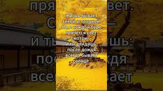Улыбнись жизни #цитаты #мудрость #анекдоты #анекдоты #пословицы #любовь #мысли #афоризм #мудрые