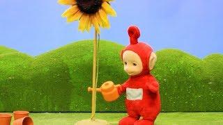 Teletubbies Türkçe | Müzik Enstrümanları | Yeni Sezon | Çocuklar için Çizgi Filmler