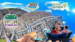 VR 360 Iron Gwazi Roller Coaster On Ride Back Seat POV Busch Gardens Tampa 2024 09 30