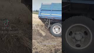 Рабочие будни Фермера...