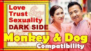 Monkey and Dog Compatibility in Love, Life, Trust, Intimacy | Monkey and Dog Zodiac Compatibility