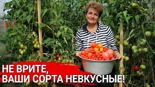 Не врите, ваши сорта не вкусные! | Как вырастить сладкие томаты