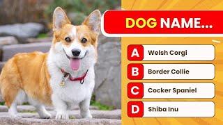 Name That Dog! Guess the Breeds | QuickQs