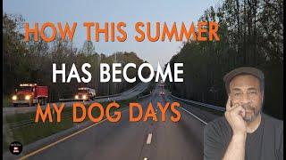 How This Summer Has Become My Dog Days | Cargo Van Ownership