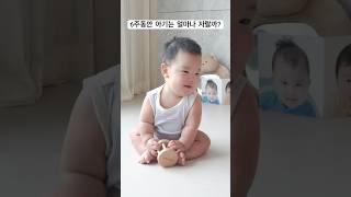 발달에 맞는 놀이가 중요한 이유
