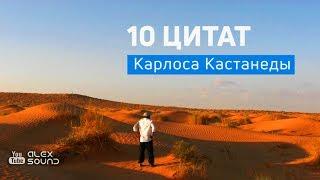 10 ЛУЧШИХ ЦИТАТ КАРЛОСА КАСТАНЕДЫ