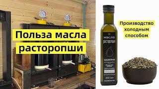 Масло расторопши полезные свойства. Масло холодного отжима. Производство сыродавленного масла