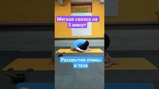3 упражнения для подвижности и осанки | Йога дома за 5 минут