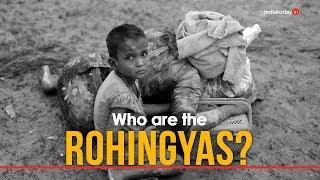 Rohingya crisis, explained