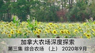 加拿大农场探索3 综合农场（上）安大略多伦多2020年9月