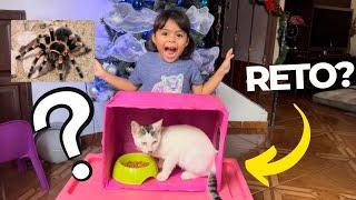 RETO CAJA MISTERIOSA?  | QUE HAY ADENTRO  | KIDS MARIE SHOW 