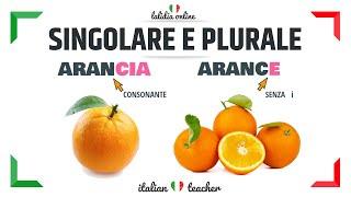 SINGOLARE e PLURALE (+ Easy Exercises) - GRAMMAR - Italian for Beginners