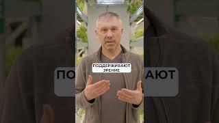 КАКАЯ зелень захватит МИР в 2025 году? #зелень #польза
