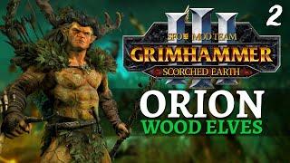 HORN OF THE WILD  | SFO Immortal Empires - Total War: Warhammer 3 - Wood Elves - Orion #2