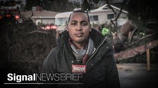 Signal News Brief: Feb 1, 2016