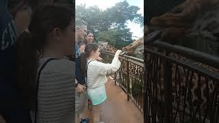 African Village Life//Neck Hugs And NibblesMUST WATCHRaw and Uncut#travel#travelvlog