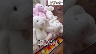 너무 비싼 토끼인형 #양말커플 #shorts