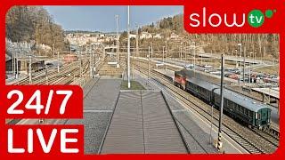  LIVE: Trains at Oustecké nádraží | 24/7 LIVE