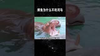 探索科学世界：打破神秘的面纱，揭示科学的力量和魅力 - 简明易懂的科普系列 #科学 #科普#探索#教育#科技#理解科学 #通俗易懂 #Science #Education #Mystery #Tech