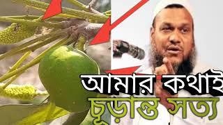 আম গাছে জাম ধরতে পারে ধরেনা । শাইখ =আব্দুর =রেজ্জাক =বিন =ইউসুফ । Abdur Razzak aBin Yousuf.