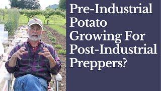 Pre Industrial Potato Growing For Post Industrial Preppers?